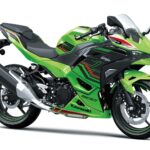 Kawasaki Ninja 500 SE
