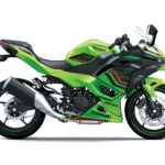 Kawasaki Ninja 500 SE