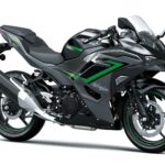 Kawasaki Ninja 500 SE