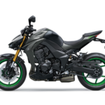 Z1100