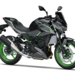 Z500 SE