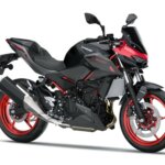 Z500 SE